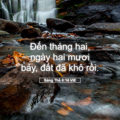 Picture 05 - Sáng Thế 8:14 VIE - Đến tháng hai, ngày hai mươi bảy, đất - Bible Verse Picture
