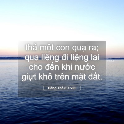 Picture 05 - Sáng Thế 8:7 VIE - thả một con quạ ra; quạ liệng đi - Bible Verse Picture