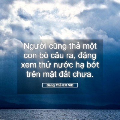 Picture 05 - Sáng Thế 8:8 VIE - Người cũng thả một con bò câu ra, - Bible Verse Picture
