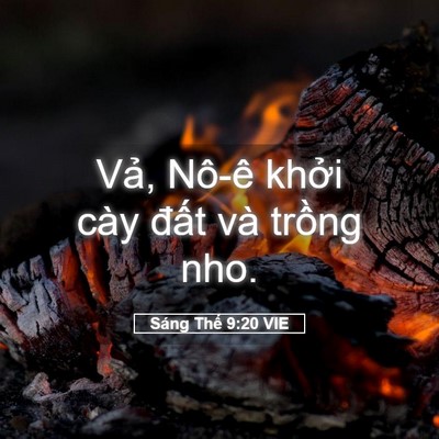 Picture 05 - Sáng Thế 9:20 VIE - Vả, Nô-ê khởi cày đất và trồng - Bible Verse Picture
