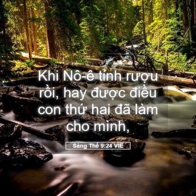 Picture 05 - Sáng Thế 9:24 VIE - Khi Nô-ê tỉnh rượu rồi, hay được - Bible Verse Picture