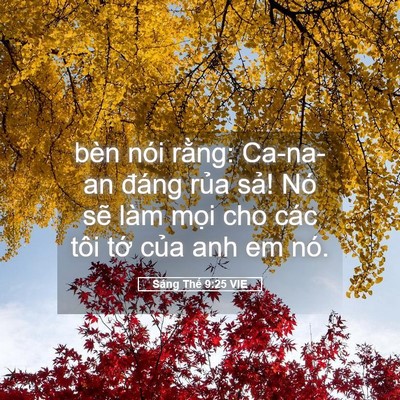Picture 05 - Sáng Thế 9:25 VIE - bèn nói rằng: Ca-na-an đáng rủa sả! Nó - Bible Verse Picture