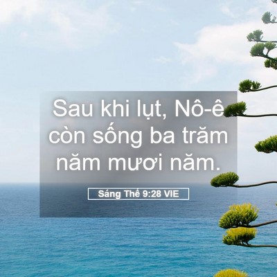 Picture 05 - Sáng Thế 9:28 VIE - Sau khi lụt, Nô-ê còn sống ba trăm năm - Bible Verse Picture