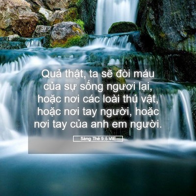 Picture 05 - Sáng Thế 9:5 VIE - Quả thật, ta sẽ đòi máu của sự - Bible Verse Picture