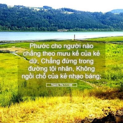 Picture 05 - Thánh Thi 1:1 VIE - Phước cho người nào chẳng theo mưu kế - Bible Verse Picture