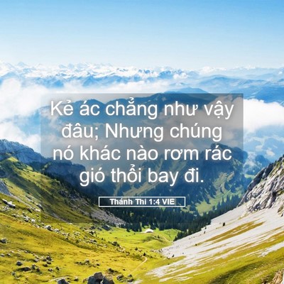 Picture 05 - Thánh Thi 1:4 VIE - Kẻ ác chẳng như vậy đâu; Nhưng chúng - Bible Verse Picture