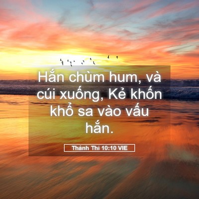 Picture 05 - Thánh Thi 10:10 VIE - Hắn chùm hum, và cúi xuống, Kẻ khốn - Bible Verse Picture