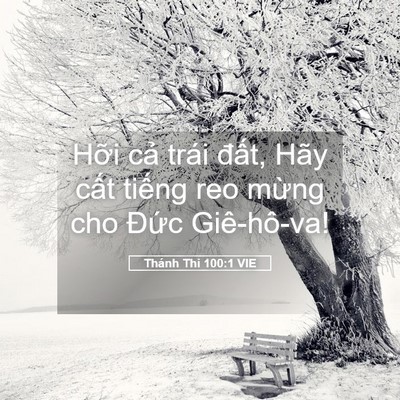 Picture 05 - Thánh Thi 100:1 VIE - Hỡi cả trái đất, Hãy cất tiếng reo - Bible Verse Picture