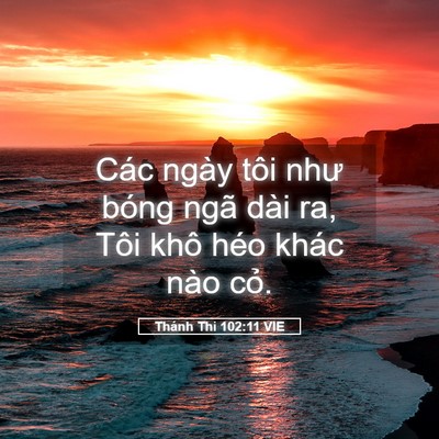 Picture 05 - Thánh Thi 102:11 VIE - Các ngày tôi như bóng ngã dài ra, Tôi - Bible Verse Picture