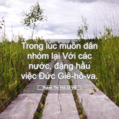 Picture 05 - Thánh Thi 102:22 VIE - Trong lúc muôn dân nhóm lại Với các - Bible Verse Picture