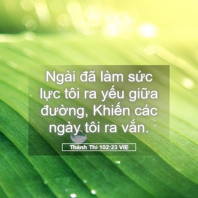 Picture 05 - Thánh Thi 102:23 VIE - Ngài đã làm sức lực tôi ra yếu giữa - Bible Verse Picture