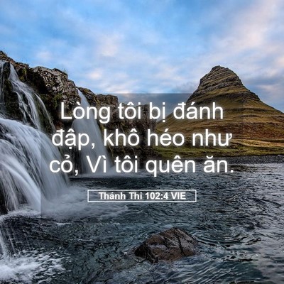 Picture 05 - Thánh Thi 102:4 VIE - Lòng tôi bị đánh đập, khô héo như - Bible Verse Picture