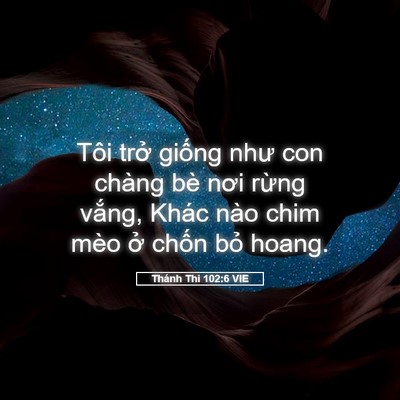 Picture 05 - Thánh Thi 102:6 VIE - Tôi trở giống như con chàng bè nơi - Bible Verse Picture