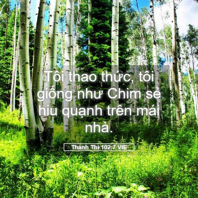 Picture 05 - Thánh Thi 102:7 VIE - Tôi thao thức, tôi giống như Chim sẻ hiu - Bible Verse Picture
