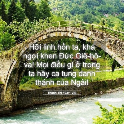 Picture 05 - Thánh Thi 103:1 VIE - Hỡi linh hồn ta, khá ngợi khen Đức - Bible Verse Picture