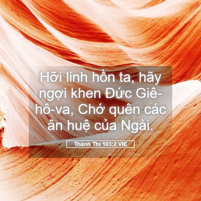 Picture 05 - Thánh Thi 103:2 VIE - Hỡi linh hồn ta, hãy ngợi khen Đức - Bible Verse Picture