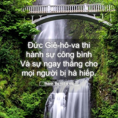 Picture 05 - Thánh Thi 103:6 VIE - Đức Giê-hô-va thi hành sự công bình Và - Bible Verse Picture