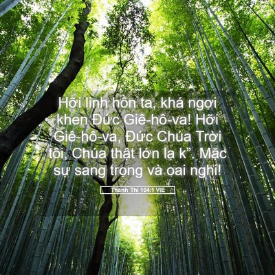Picture 05 - Thánh Thi 104:1 VIE - Hỡi linh hồn ta, khá ngợi khen Đức - Bible Verse Picture