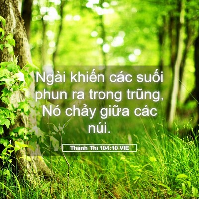 Picture 05 - Thánh Thi 104:10 VIE - Ngài khiến các suối phun ra trong trũng, - Bible Verse Picture