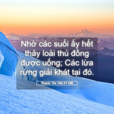 Picture 05 - Thánh Thi 104:11 VIE - Nhờ các suối ấy hết thảy loài thú - Bible Verse Picture