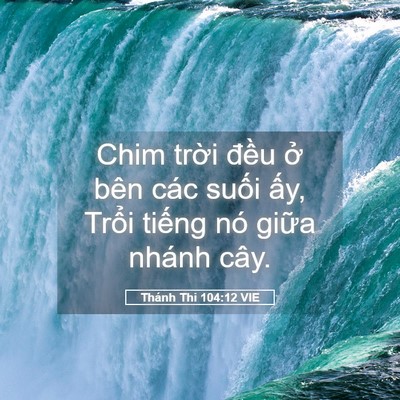 Picture 05 - Thánh Thi 104:12 VIE - Chim trời đều ở bên các suối ấy, - Bible Verse Picture