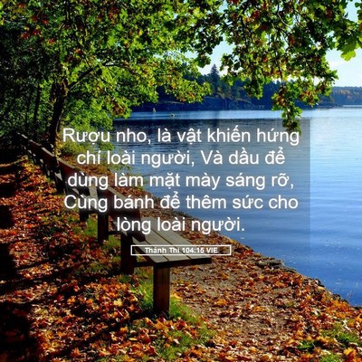 Picture 05 - Thánh Thi 104:15 VIE - Rượu nho, là vật khiến hứng chí loài - Bible Verse Picture