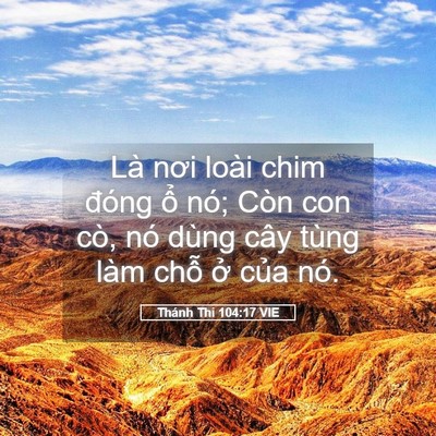 Picture 05 - Thánh Thi 104:17 VIE - Là nơi loài chim đóng ổ nó; Còn con cò, - Bible Verse Picture