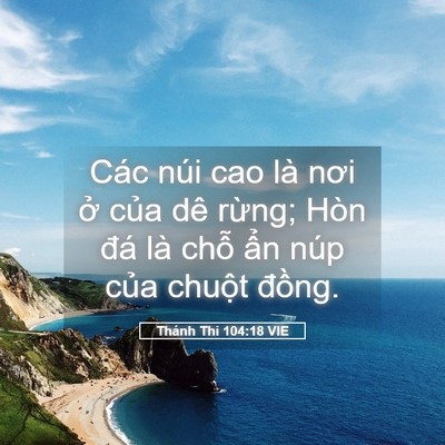 Picture 05 - Thánh Thi 104:18 VIE - Các núi cao là nơi ở của dê rừng; Hòn - Bible Verse Picture