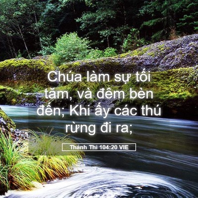 Picture 05 - Thánh Thi 104:20 VIE - Chúa làm sự tối tăm, và đêm bèn - Bible Verse Picture