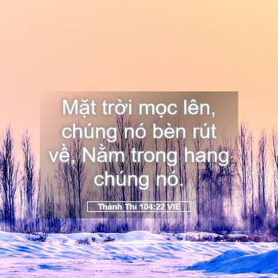 Picture 05 - Thánh Thi 104:22 VIE - Mặt trời mọc lên, chúng nó bèn rút - Bible Verse Picture