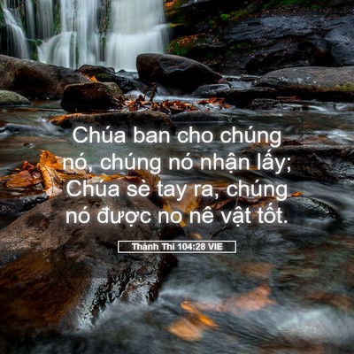 Picture 05 - Thánh Thi 104:28 VIE - Chúa ban cho chúng nó, chúng nó nhận - Bible Verse Picture