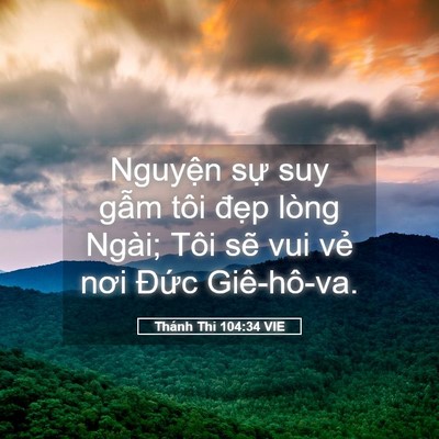 Picture 05 - Thánh Thi 104:34 VIE - Nguyện sự suy gẫm tôi đẹp lòng Ngài; - Bible Verse Picture