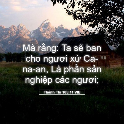 Picture 05 - Thánh Thi 105:11 VIE - Mà rằng: Ta sẽ ban cho ngươi xứ - Bible Verse Picture