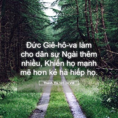 Picture 05 - Thánh Thi 105:24 VIE - Đức Giê-hô-va làm cho dân sự Ngài thêm - Bible Verse Picture
