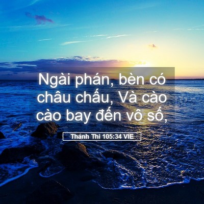 Picture 05 - Thánh Thi 105:34 VIE - Ngài phán, bèn có châu chấu, Và cào cào - Bible Verse Picture