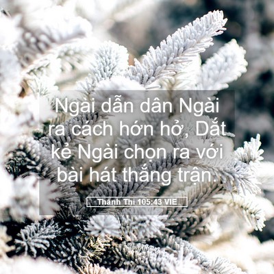 Picture 05 - Thánh Thi 105:43 VIE - Ngài dẫn dân Ngài ra cách hớn hở, Dắt - Bible Verse Picture