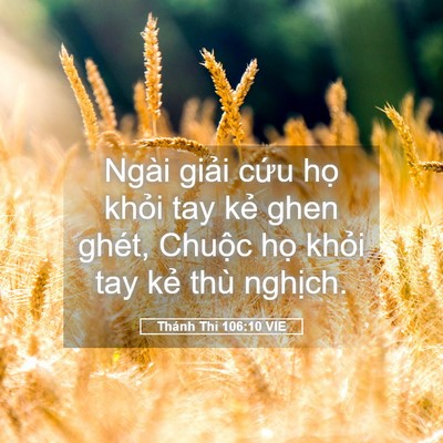 Picture 05 - Thánh Thi 106:10 VIE - Ngài giải cứu họ khỏi tay kẻ ghen - Bible Verse Picture