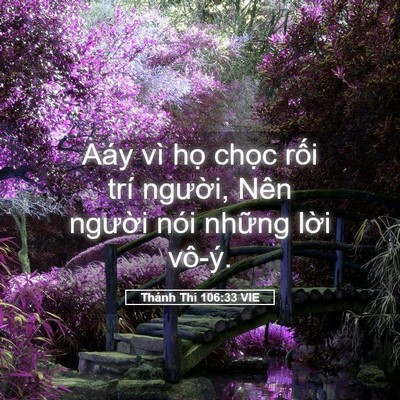 Picture 05 - Thánh Thi 106:33 VIE - Aáy vì họ chọc rối trí người, Nên - Bible Verse Picture