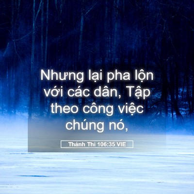 Picture 05 - Thánh Thi 106:35 VIE - Nhưng lại pha lộn với các dân, Tập - Bible Verse Picture