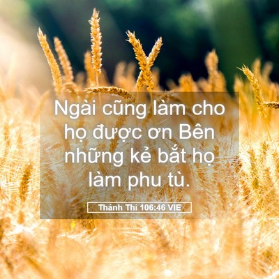 Picture 05 - Thánh Thi 106:46 VIE - Ngài cũng làm cho họ được ơn Bên - Bible Verse Picture