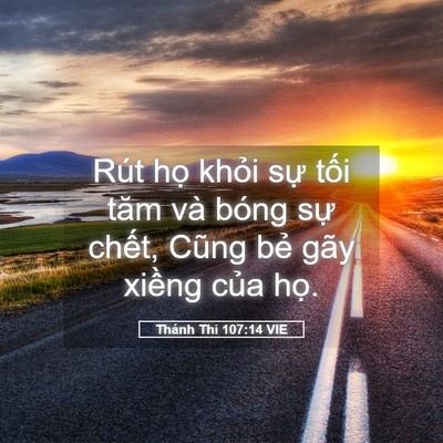 Picture 05 - Thánh Thi 107:14 VIE - Rút họ khỏi sự tối tăm và bóng sự - Bible Verse Picture
