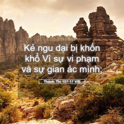 Picture 05 - Thánh Thi 107:17 VIE - Kẻ ngu dại bị khốn khổ Vì sự vi - Bible Verse Picture