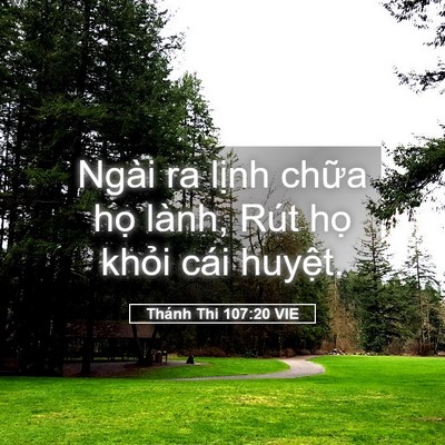 Picture 05 - Thánh Thi 107:20 VIE - Ngài ra lịnh chữa họ lành, Rút họ - Bible Verse Picture