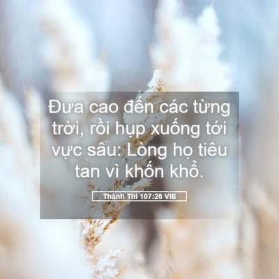Picture 05 - Thánh Thi 107:26 VIE - Đưa cao đến các từng trời, rồi hụp - Bible Verse Picture