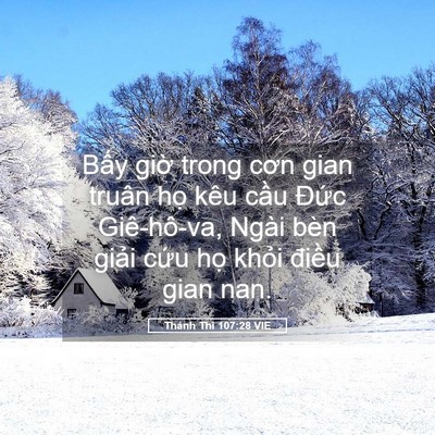 Picture 05 - Thánh Thi 107:28 VIE - Bấy giờ trong cơn gian truân họ kêu - Bible Verse Picture