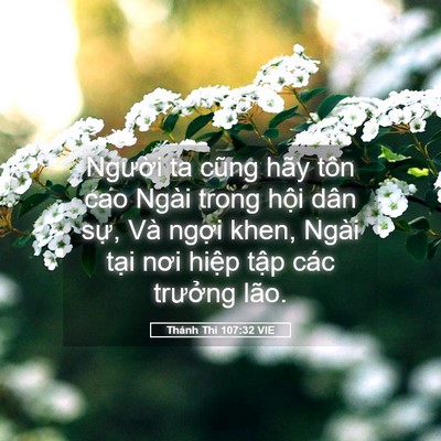 Picture 05 - Thánh Thi 107:32 VIE - Người ta cũng hãy tôn cao Ngài trong hội - Bible Verse Picture