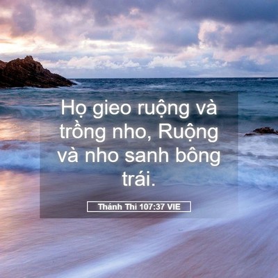 Picture 05 - Thánh Thi 107:37 VIE - Họ gieo ruộng và trồng nho, Ruộng và - Bible Verse Picture