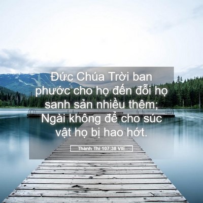 Picture 05 - Thánh Thi 107:38 VIE - Đức Chúa Trời ban phước cho họ đến - Bible Verse Picture