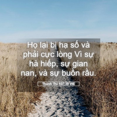 Picture 05 - Thánh Thi 107:39 VIE - Họ lại bị hạ số và phải cực lòng - Bible Verse Picture