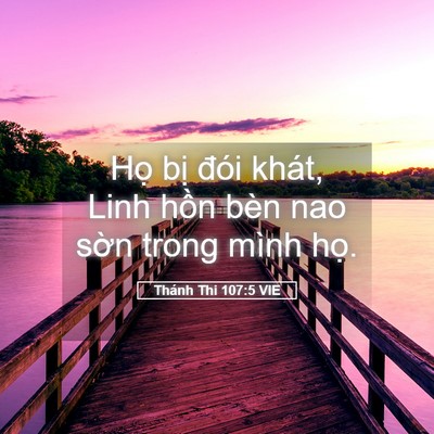 Picture 05 - Thánh Thi 107:5 VIE - Họ bị đói khát, Linh hồn bèn nao sờn - Bible Verse Picture